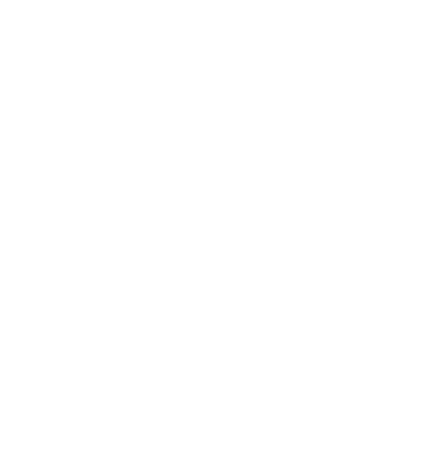 SAIL logo
